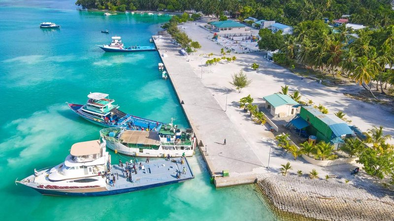 ފިޔޯރީގައި މަސް ހިފަން އުޅުނު މީހަކު ގެނބިގެން މަރުވެއްޖެ