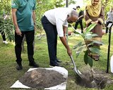ތިމާވެށި ހިމާޔަތްކުރަން ގްރީން ފަންޑުން އަހަރަކު ހަތް މިލިއަން ހަރަދުކުރަން ރައީސް ނިންމަވައިފި