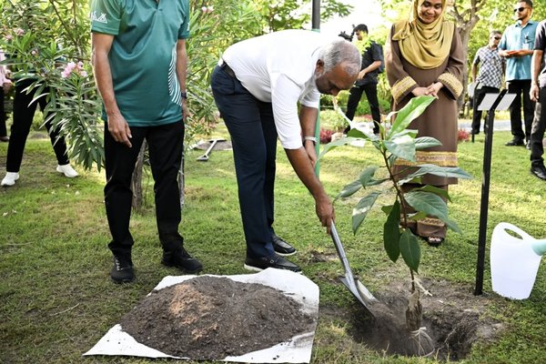 ތިމާވެށި ހިމާޔަތްކުރަން ގްރީން ފަންޑުން އަހަރަކު ހަތް މިލިއަން ހަރަދުކުރަން ރައީސް ނިންމަވައިފި