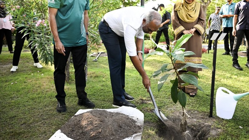 ތިމާވެށި ހިމާޔަތްކުރަން ގްރީން ފަންޑުން އަހަރަކު ހަތް މިލިއަން ހަރަދުކުރަން ރައީސް ނިންމަވައިފި