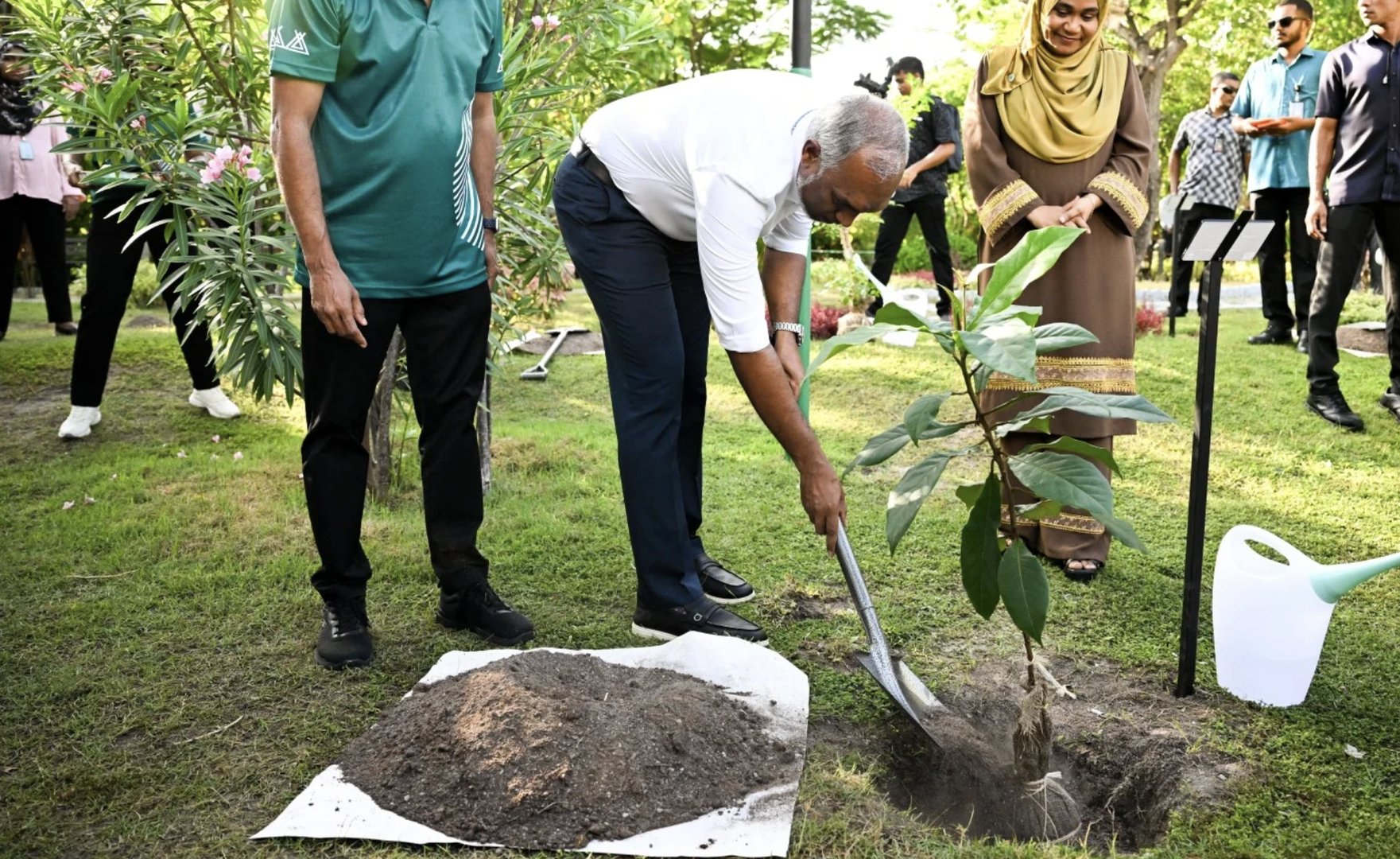 ތިމާވެށި ހިމާޔަތްކުރަން ގްރީން ފަންޑުން އަހަރަކު ހަތް މިލިއަން ހަރަދުކުރަން ރައީސް ނިންމަވައިފި